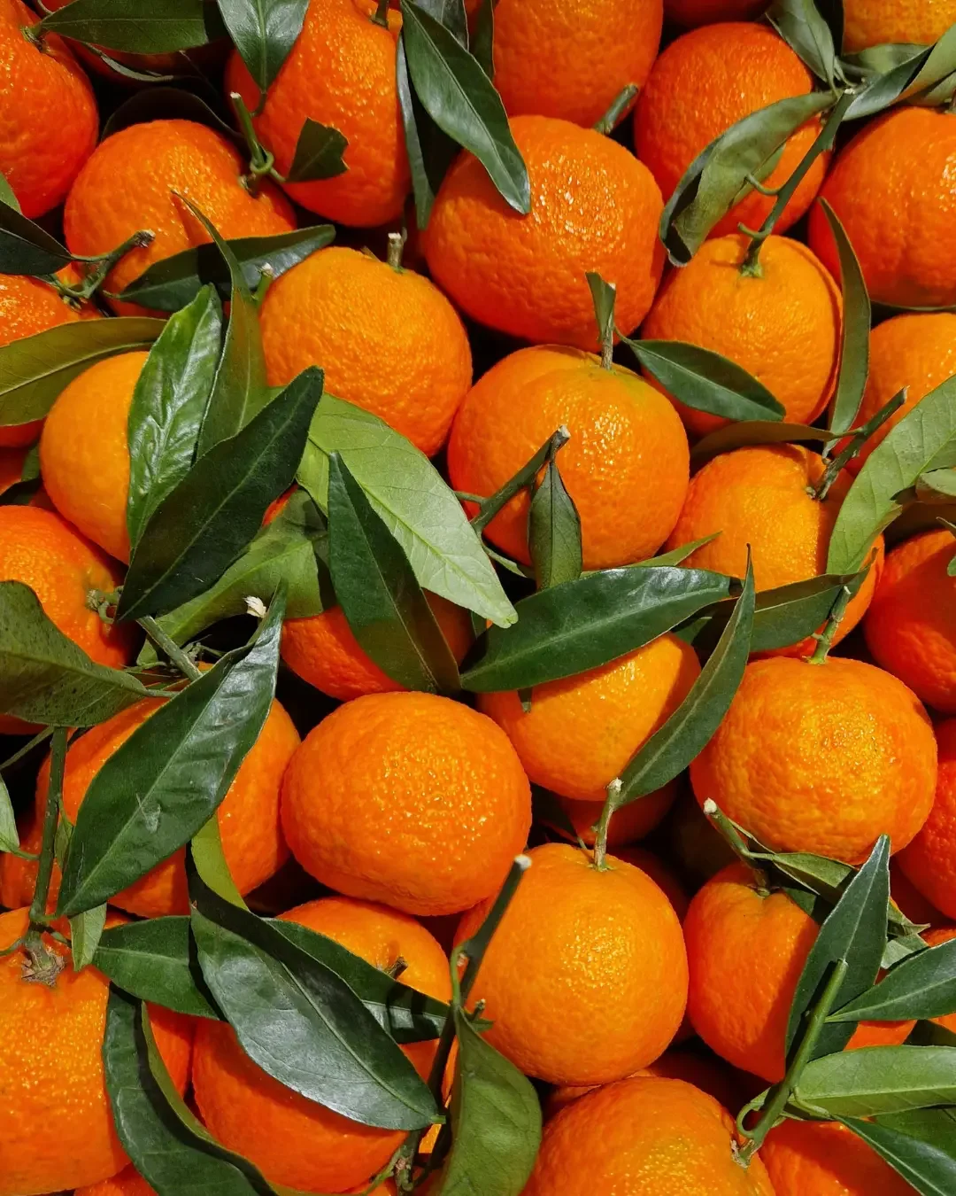 mandarinas