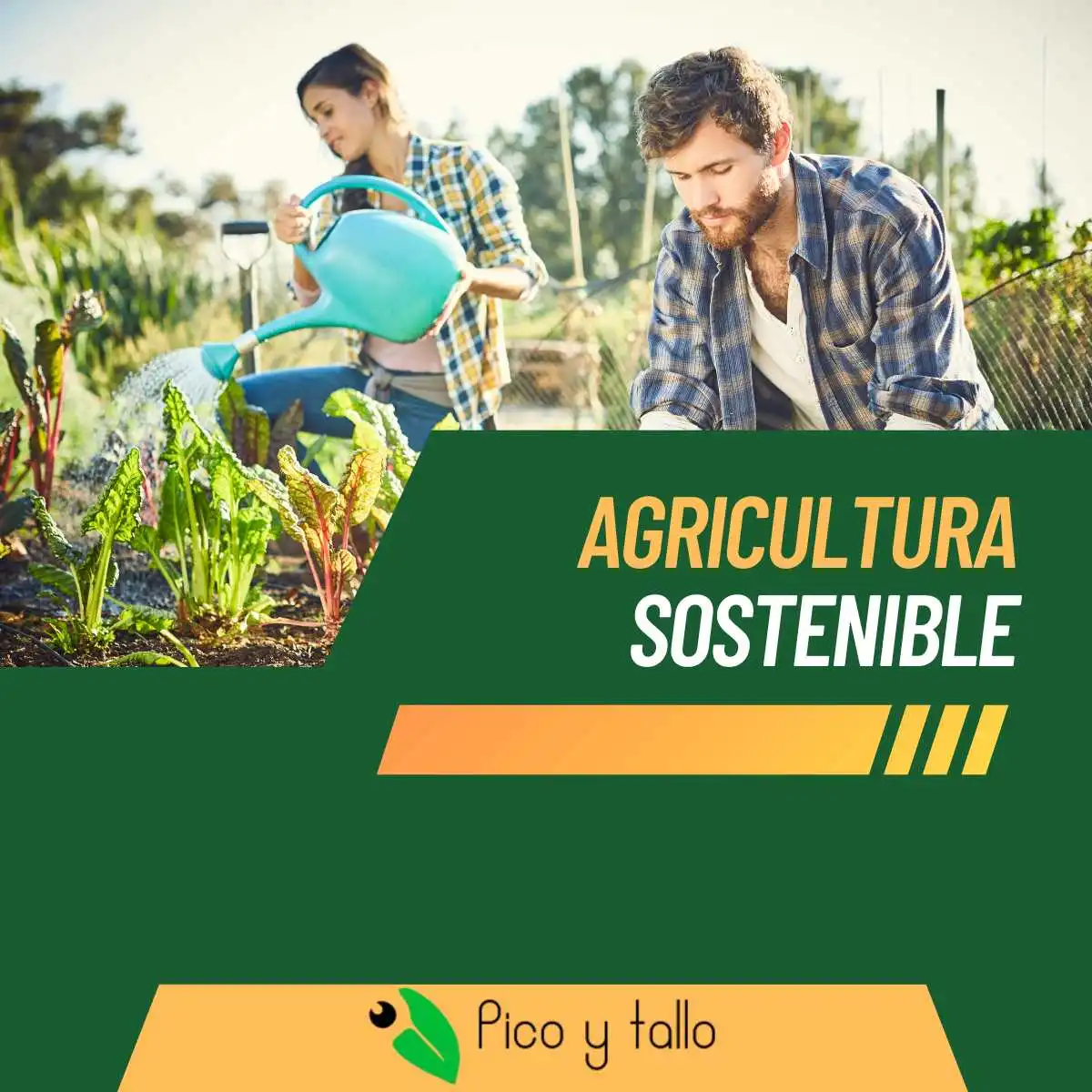The importance of sustainable agriculture in our food supply