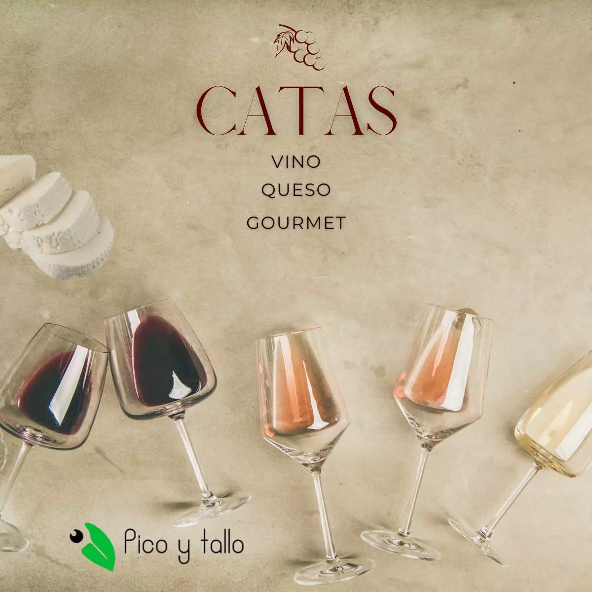 Cata de vinos y quesos alicante