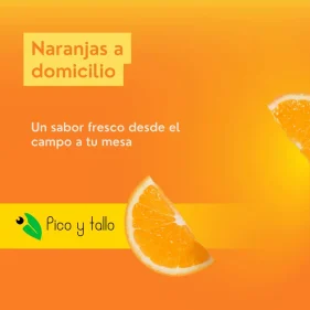 Naranjas de Valencia ecológicas