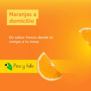 Naranjas de Valencia ecológicas