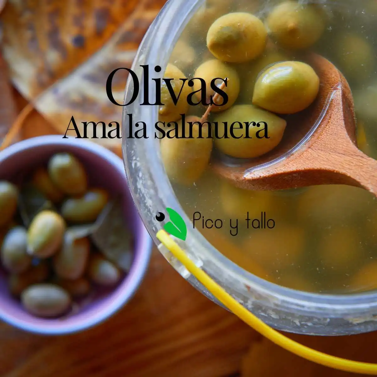 Olivas ¿por qué tu cerebro ama la salmuera?