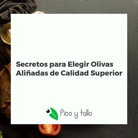 Variedad de olivas aliñadas gourmet en cuencos de cerámica sobre madera rústica, con hierbas y aceite de oliva.